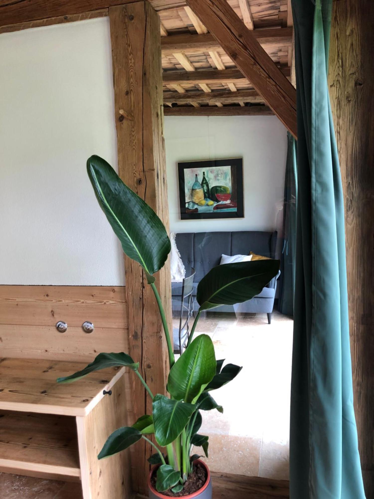 Apartment Stillleben Luxus Fuer Die Seele Abtenau Exteriér fotografie