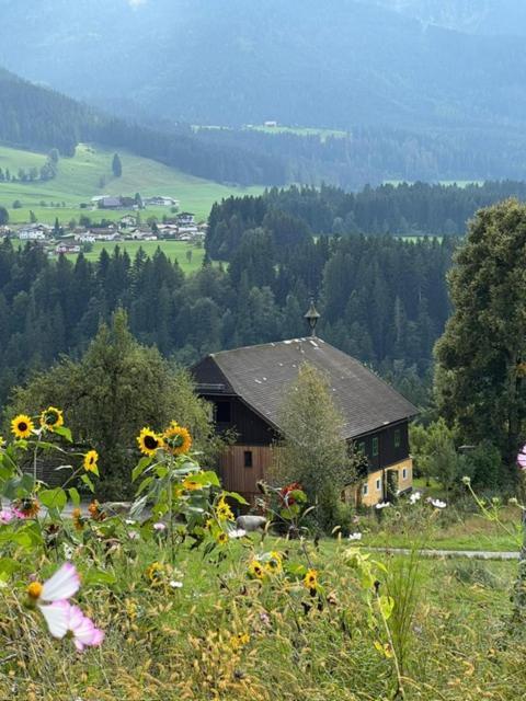 Apartment Stillleben Luxus Fuer Die Seele Abtenau Exteriér fotografie