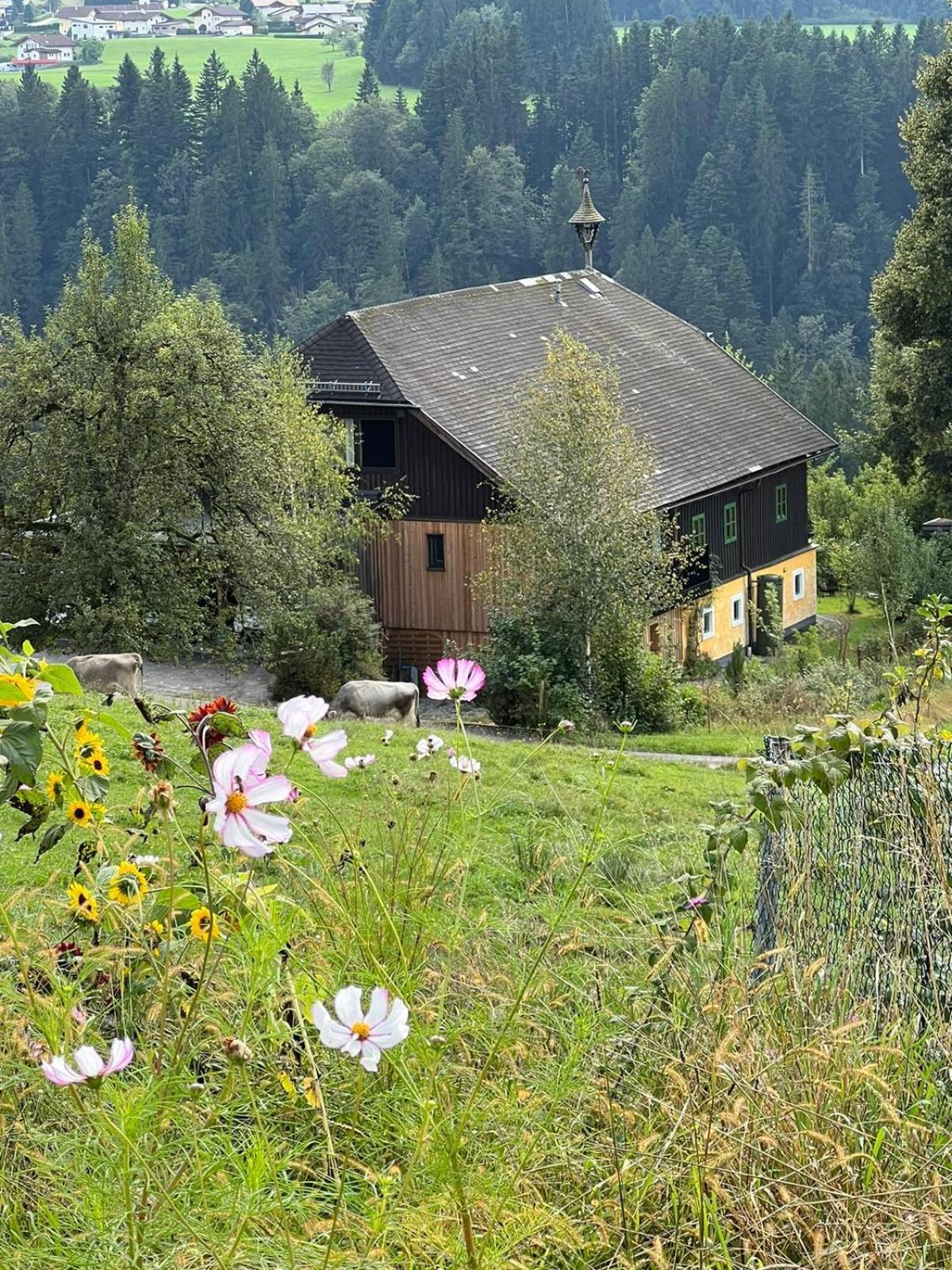 Apartment Stillleben Luxus Fuer Die Seele Abtenau Exteriér fotografie