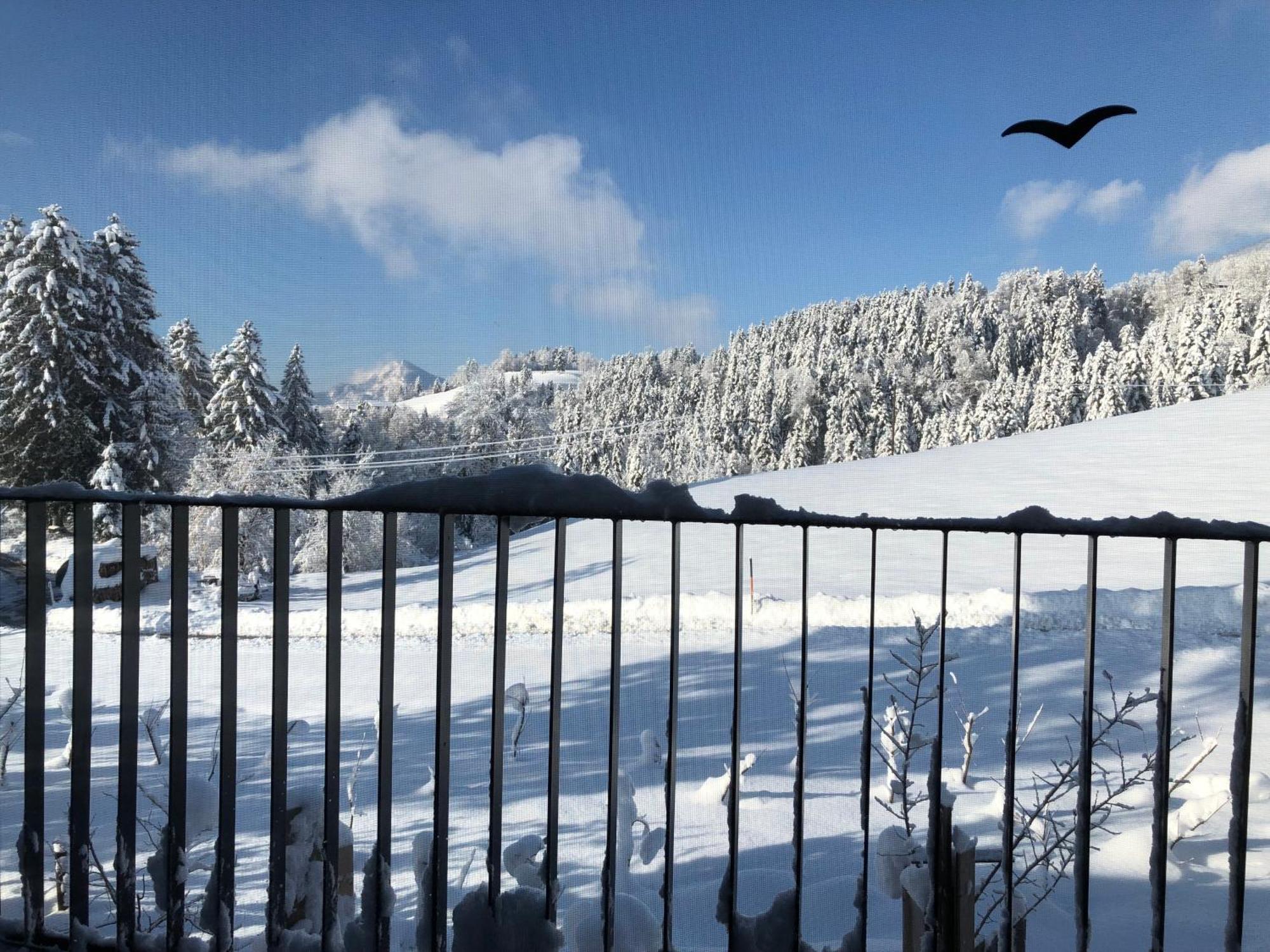 Apartment Stillleben Luxus Fuer Die Seele Abtenau Exteriér fotografie